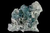 Gorgeous, Blue-Green Fluorite on Sparkling Quartz - China #146640-1